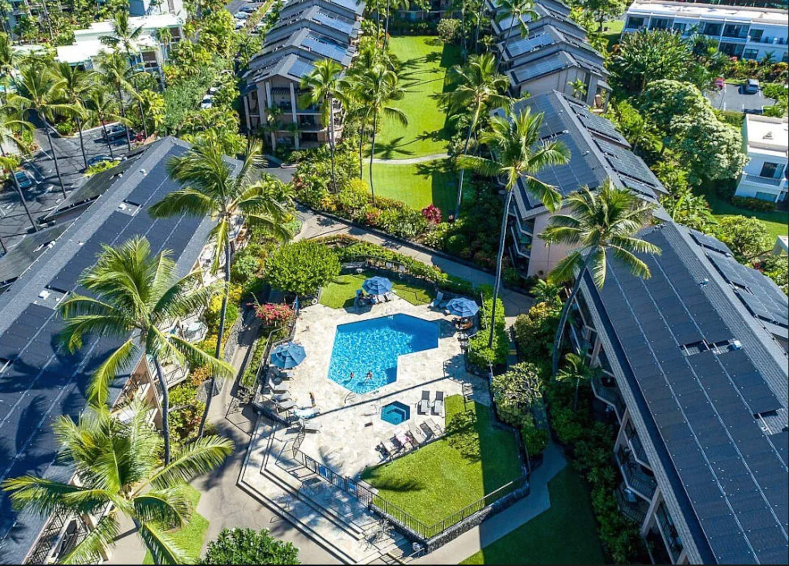 Kona Oceanside Escape! - Image 20