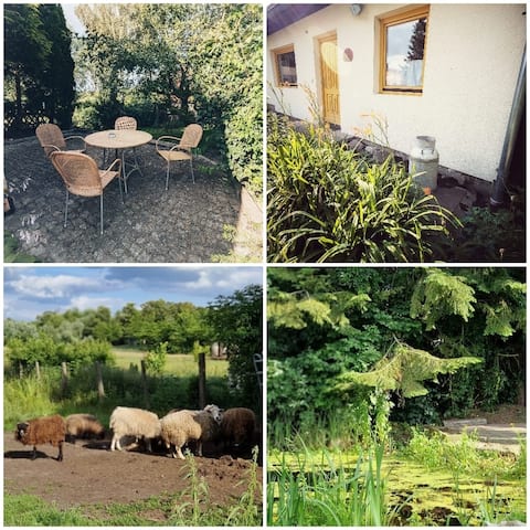 Beliebte Airbnb-Anzeige: Small vacation home on the Müritz in Rechlin