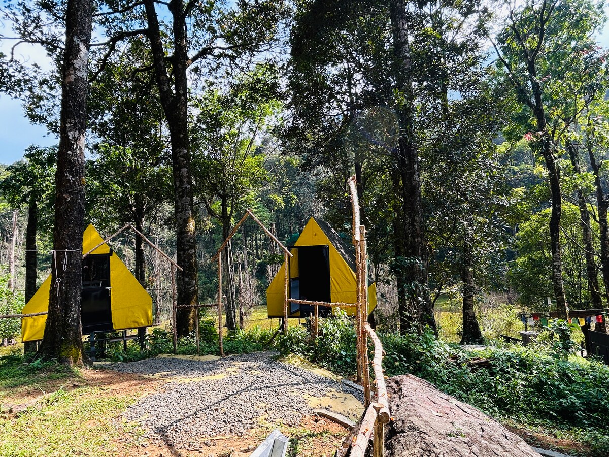 Two yellow triangular tents are positioned among tall trees in a green forest. The area is surrounded by a mixture of grass and gravel, with one tent featuring a small wooden structure nearby. Nature trails and foliage enhance the tranquil atmosphere.