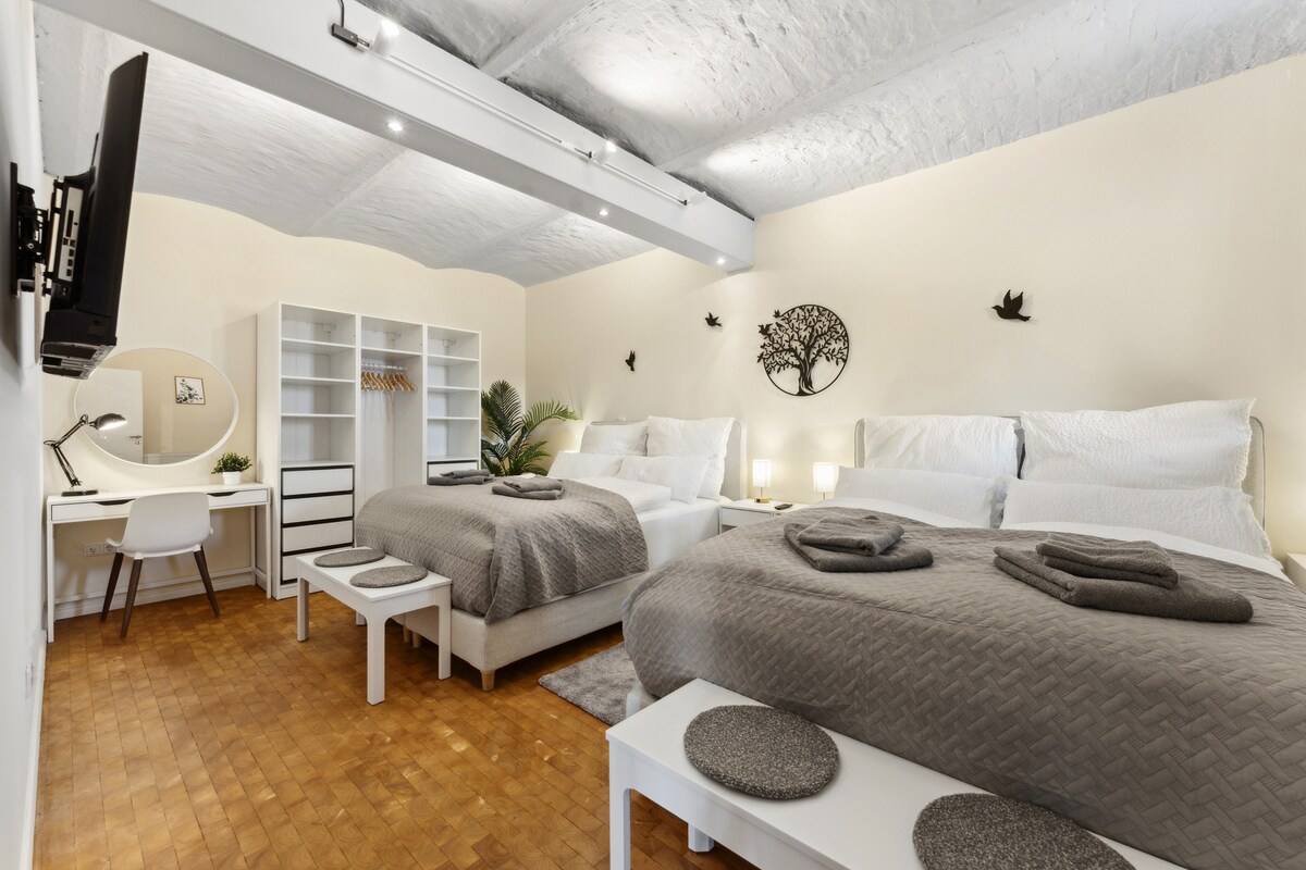 Пространа спална соба со два удобни кревета со димензии 160 x 200 см, стилски декор и топла светлина. Отворете гардероба, биро со огледало и телевизор за максимална удобност. Тивка атмосфера за добар сон – совршено за семејства или групи!