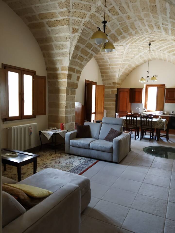 Séjour ouvert avec canapé-lit- ancienne ferme
salon avec lit sofà - ancienne masseria