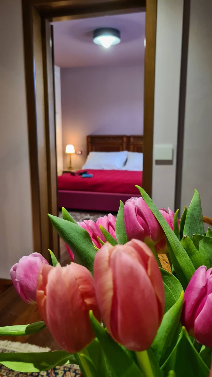 Zi Bitta Guest House Palmanova - Palmanova