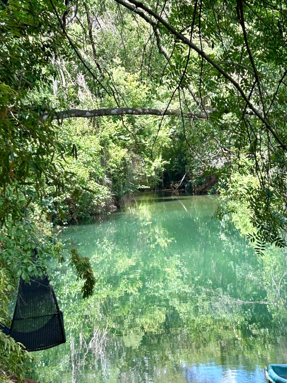 A serene waterway is framed by lush greenery and overhanging branches. The still, reflective surface of the water mirrors the vibrant green hues, creating a tranquil natural setting. The surrounding foliage provides a sense of seclusion and harmony with nature.