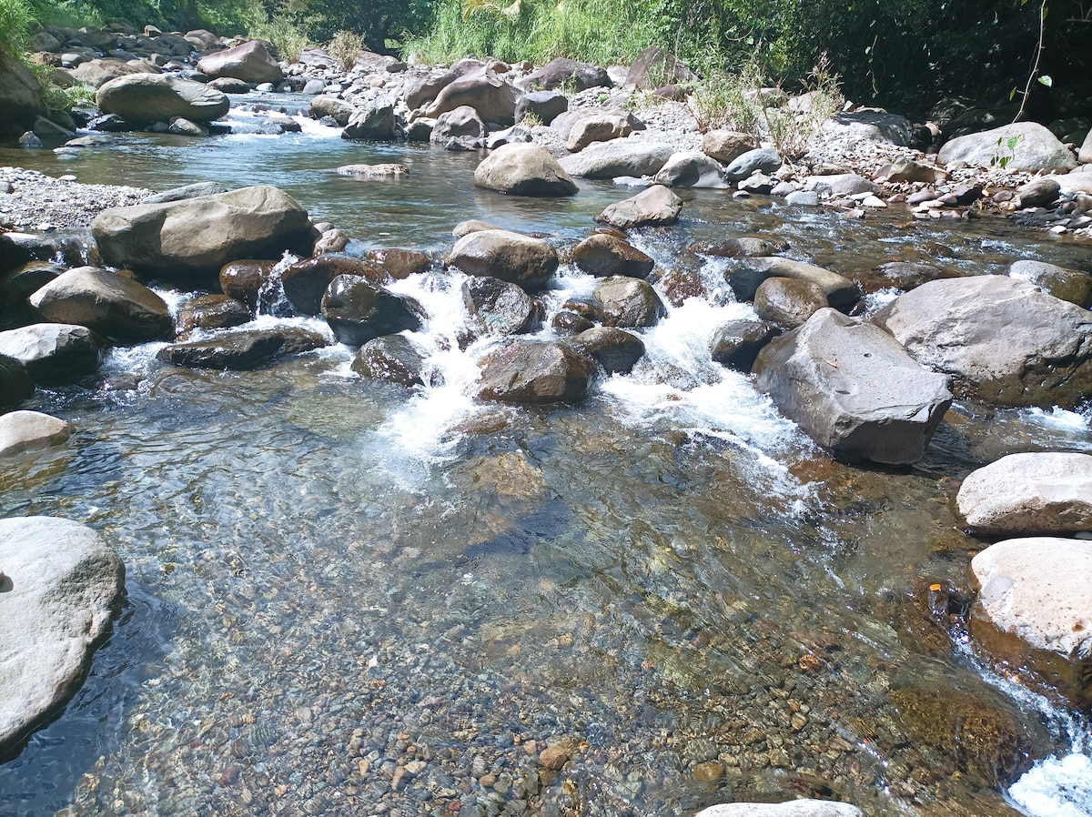 A shallow river flows over a bed of smooth stones, with gentle ripples creating small cascades. Surrounding greenery provides a natural backdrop, enhancing the serene setting. The sunlight reflects off the water, revealing varying depths and textures of the riverbed.