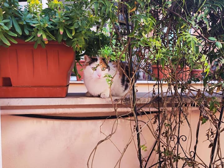 Casa Arriano 11 Pigneto - Roma