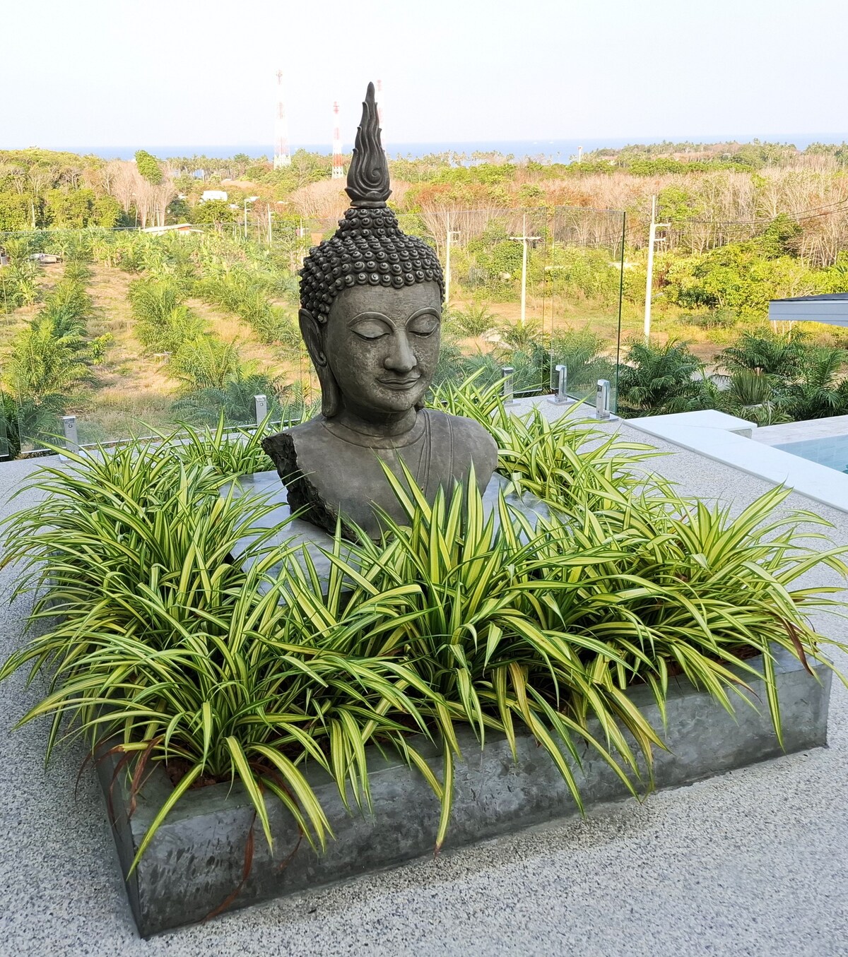 A decorative Buddha statue is surrounded by lush green plants in a stone planter. The serene landscape includes distant trees and a glimpse of the sea, contributing to a peaceful outdoor ambiance.