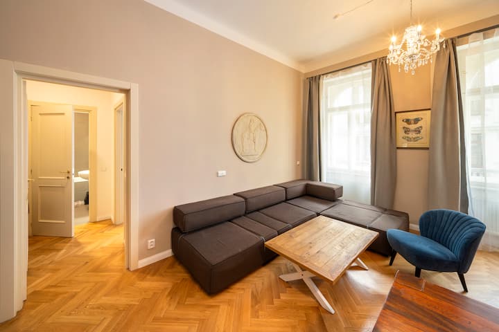 Downtown -2 Room Large Apartment - Prague