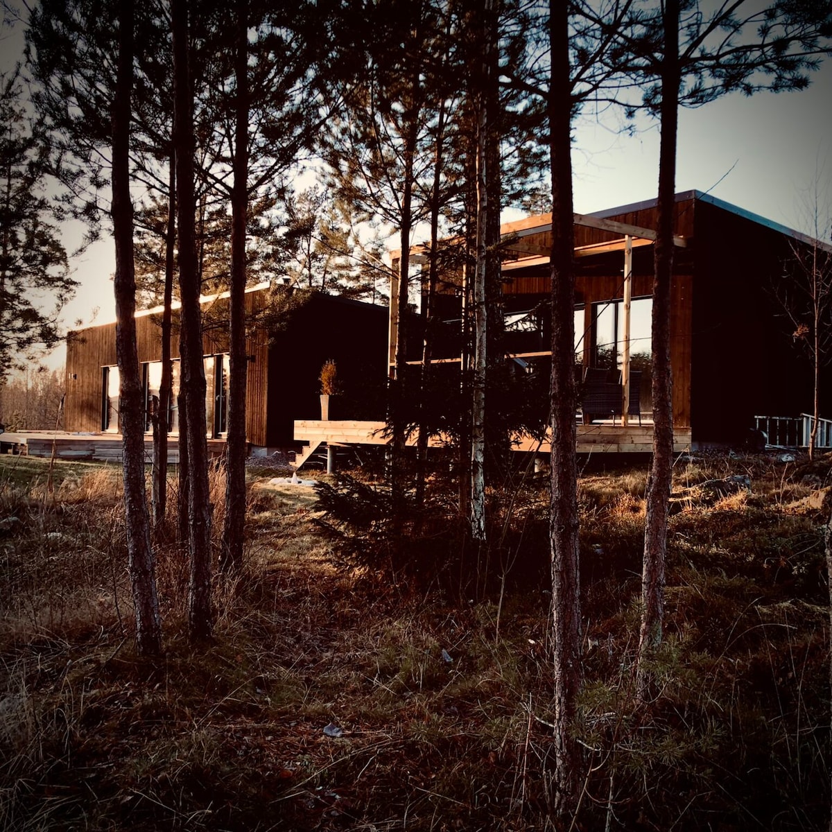 A modern countryside villa is framed by tall pine trees, showcasing a wooden deck that connects the two distinct structures. The natural surroundings feature grass and underbrush, with the warm light of sunset illuminating the exterior.