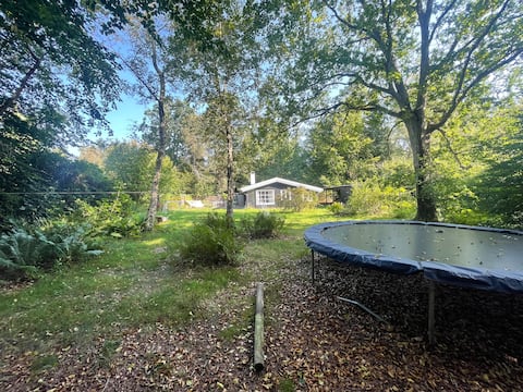 Lovely cottage with direct access to forest