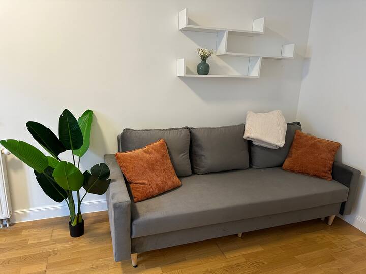 მისაღები სივრცე