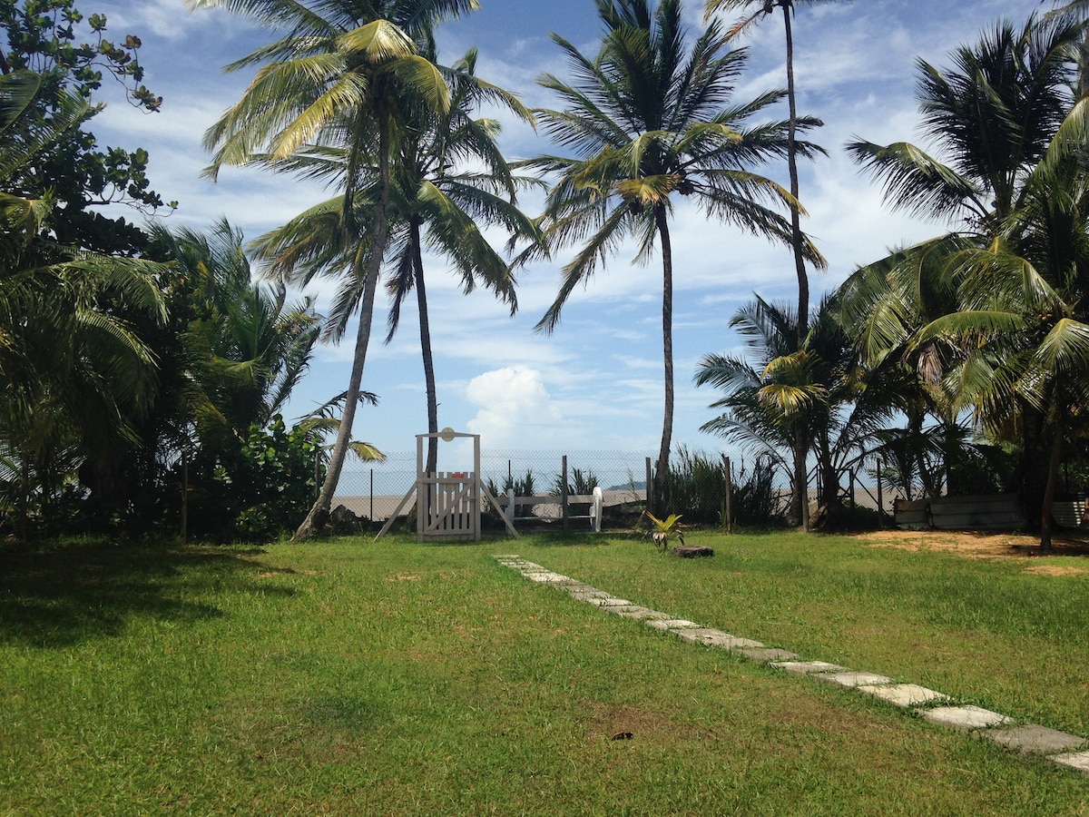 A lush garden area features well-maintained green grass and palm trees swaying gently in the breeze. A pathway of stepping stones leads through the yard toward the beach, with a glimpse of the ocean visible in the background.