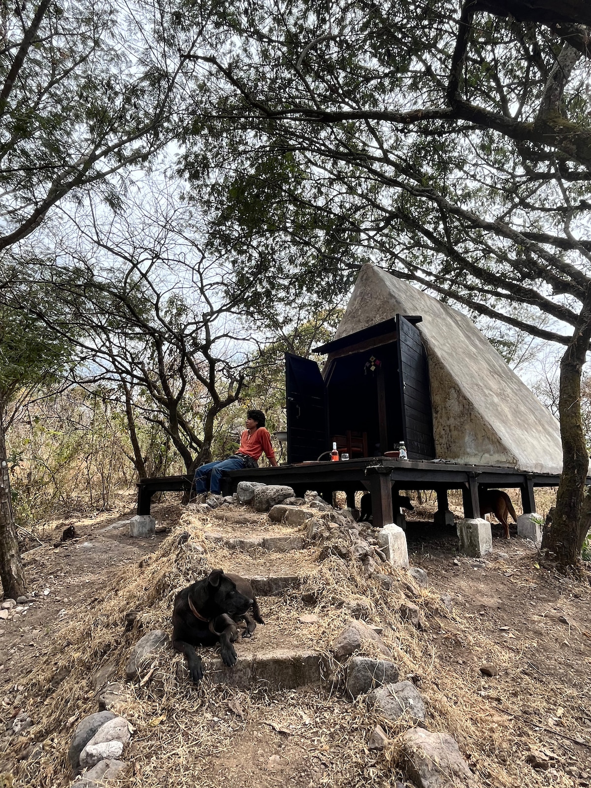 A cozy glamping cabin with an a-frame design sits surrounded by sparse trees and natural landscape. A person is seated on the deck, enjoying the serene environment, while a dog rests on the steps leading up to the cabin's entrance.