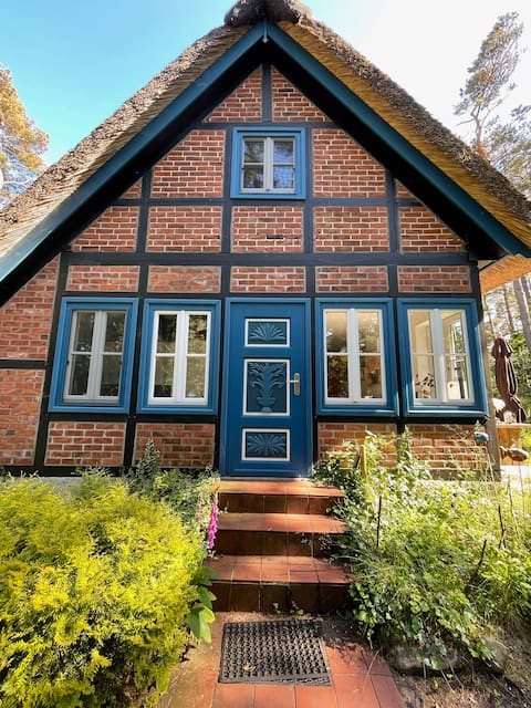 Thatched holiday home idyllically located on the Baltic Sea beach