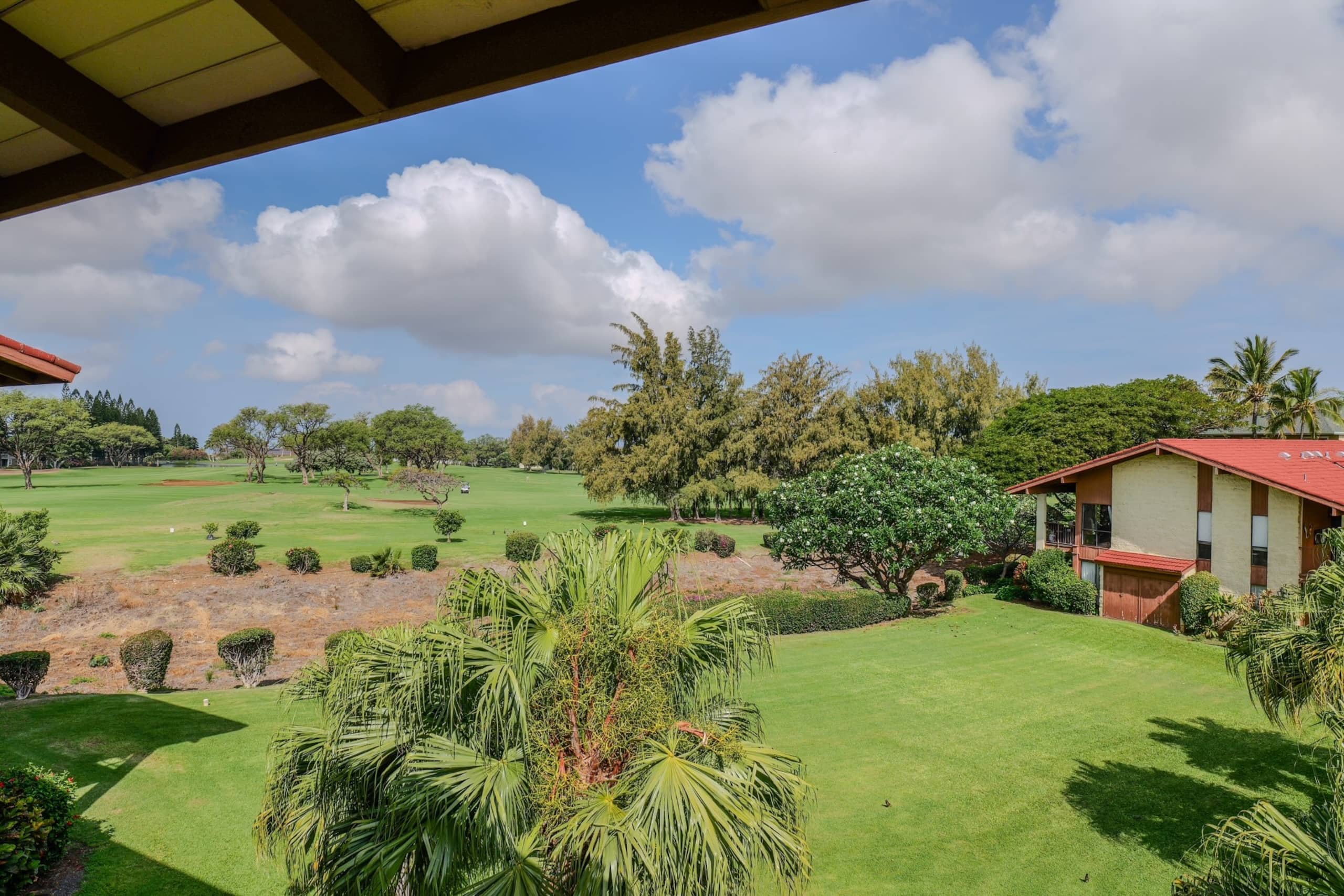 Sunny Dream Escape in Waikoloa - Photo 20