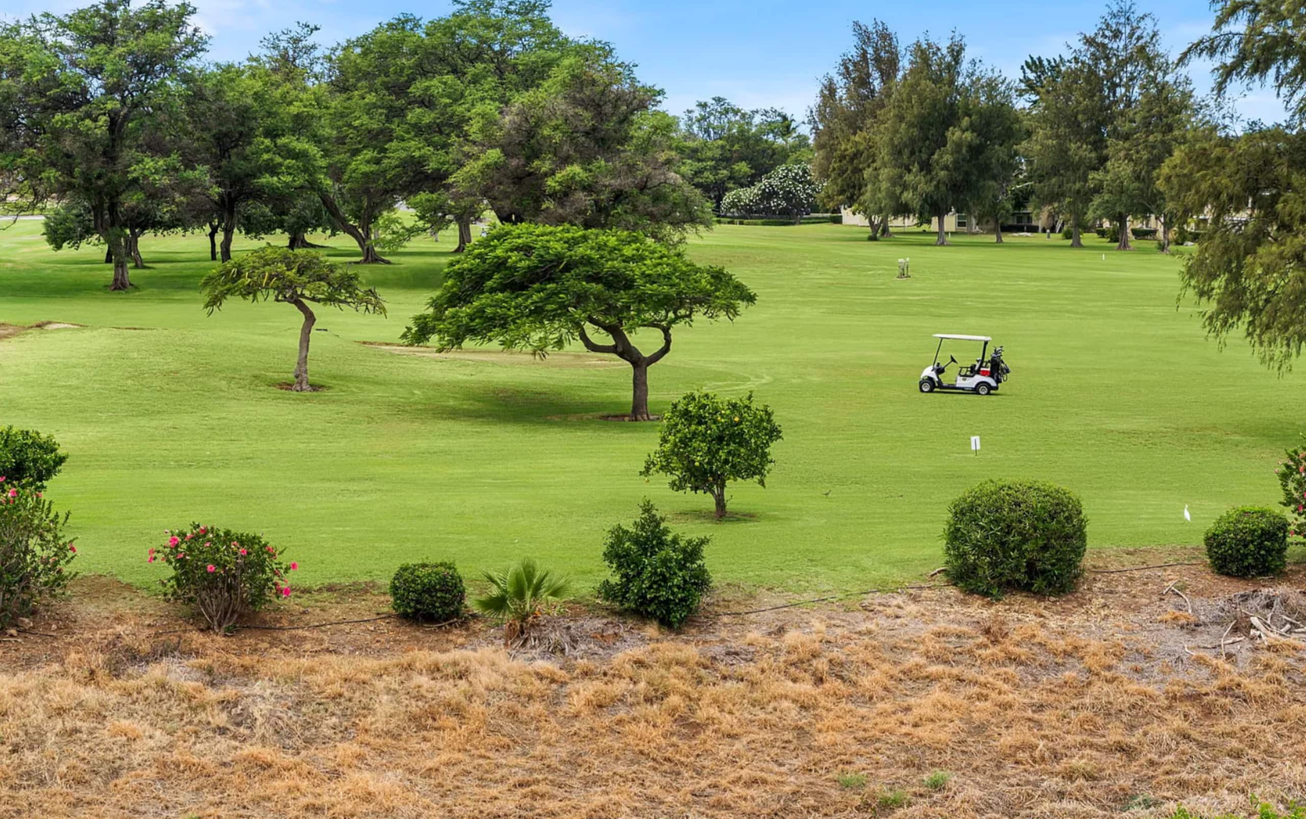 Sunny Dream Escape in Waikoloa - Photo 21