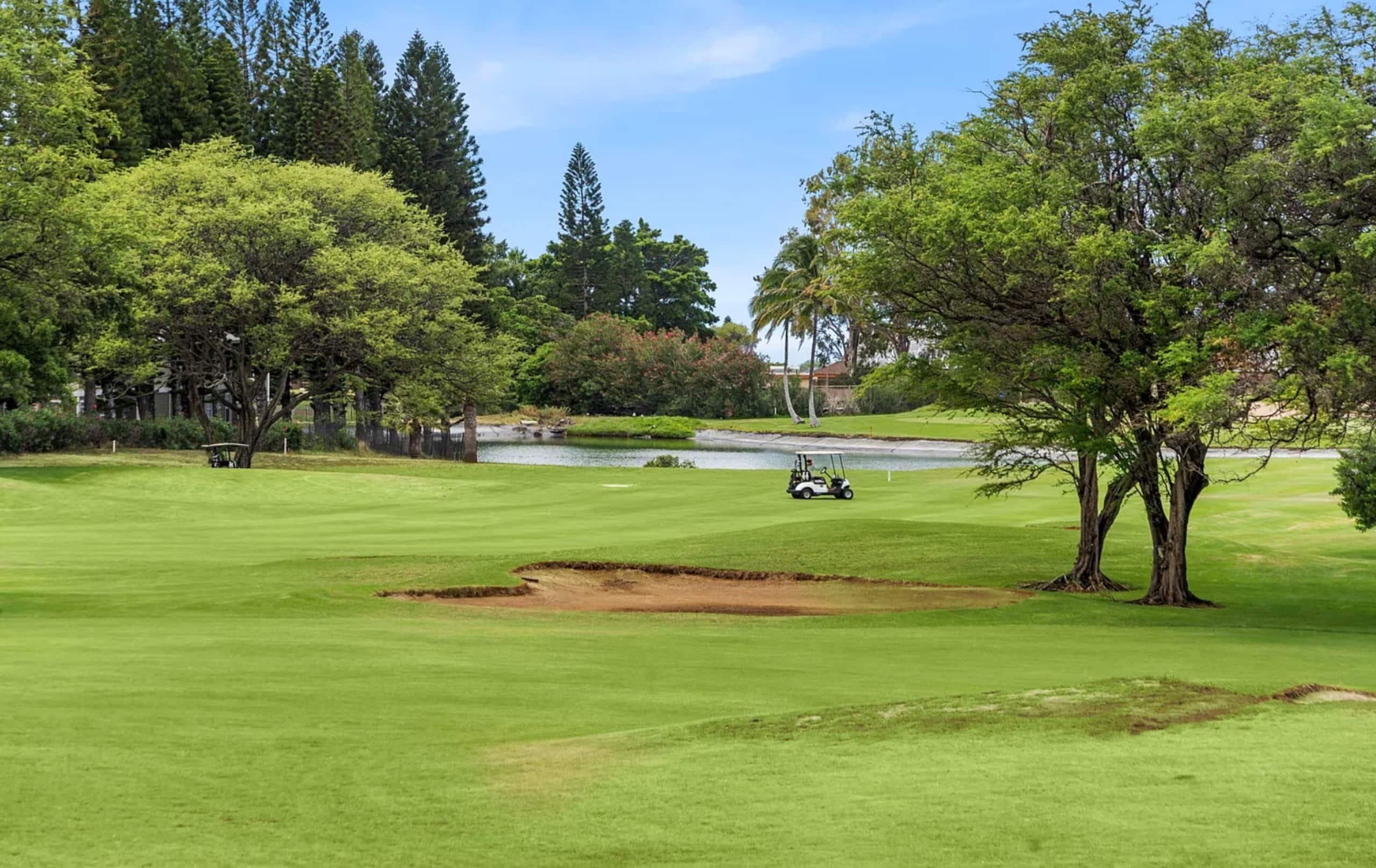 Sunny Dream Escape in Waikoloa - Photo 17