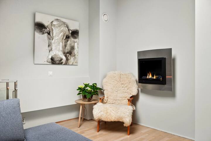 Urban Oslo Penthouse gallery image 2