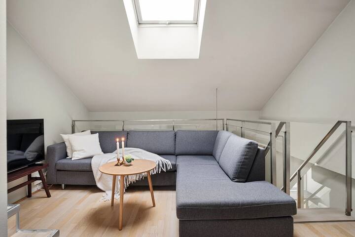 Urban Oslo Penthouse gallery image 4