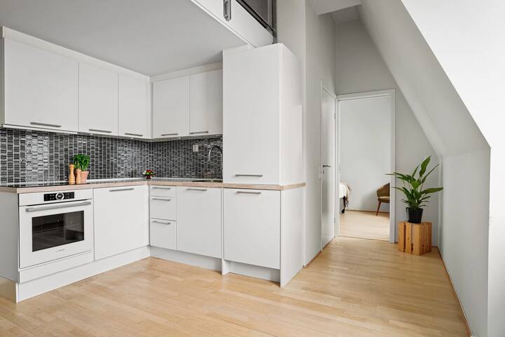 Urban Oslo Penthouse gallery image 5