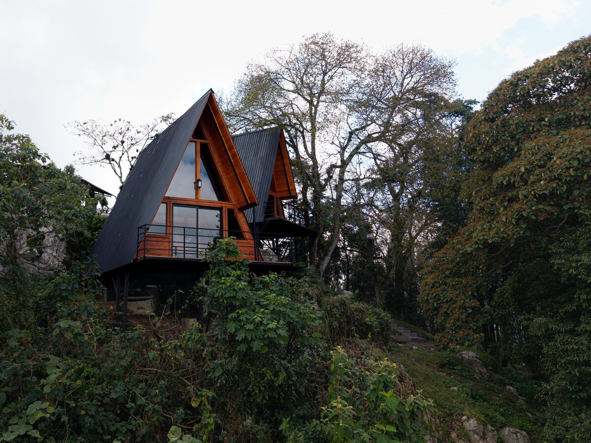 A charming cabin with a distinctive A-frame design is nestled among lush greenery. The structure features large windows and a balcony, providing views of the dense forest surroundings. The harmonious blend of wood and modern elements enhances the natural beauty of the setting.