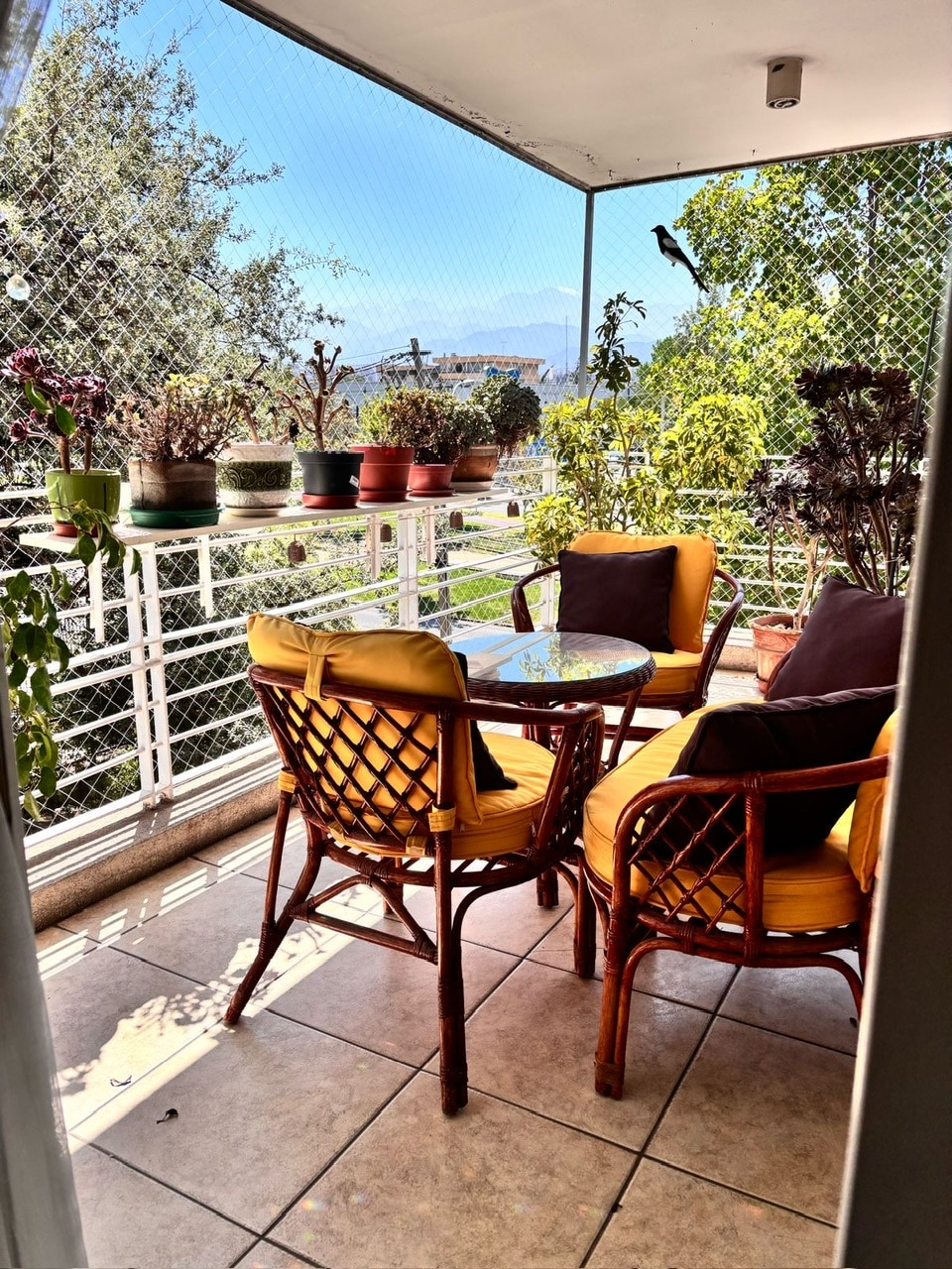 A bright balcony is adorned with potted plants, featuring a small round table surrounded by four wicker chairs. Sunlight casts gentle shadows on the tiled floor, creating a serene space filled with greenery and views of the surrounding area.