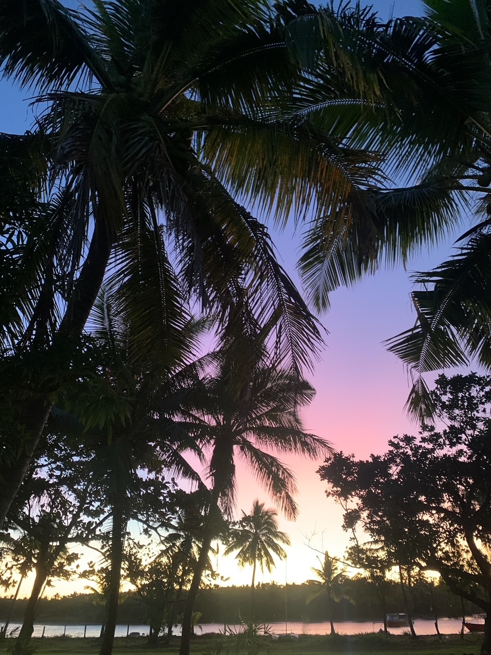 Palm trees frame a vibrant evening sky transitioning from deep blue to soft purple and pink hues. The silhouette of trees stands against a serene backdrop of the water, suggesting a tranquil atmosphere typical of island landscapes.