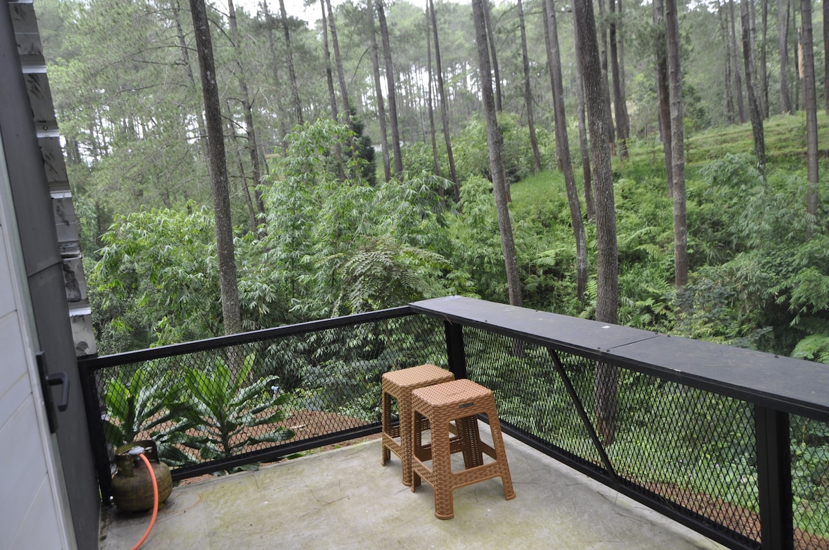 A balcony overlooks a lush green landscape filled with pine trees. Two woven stools are positioned on the concrete floor, offering a space to relax and enjoy the natural surroundings. The railing provides safety while maintaining an open view of the forest.
