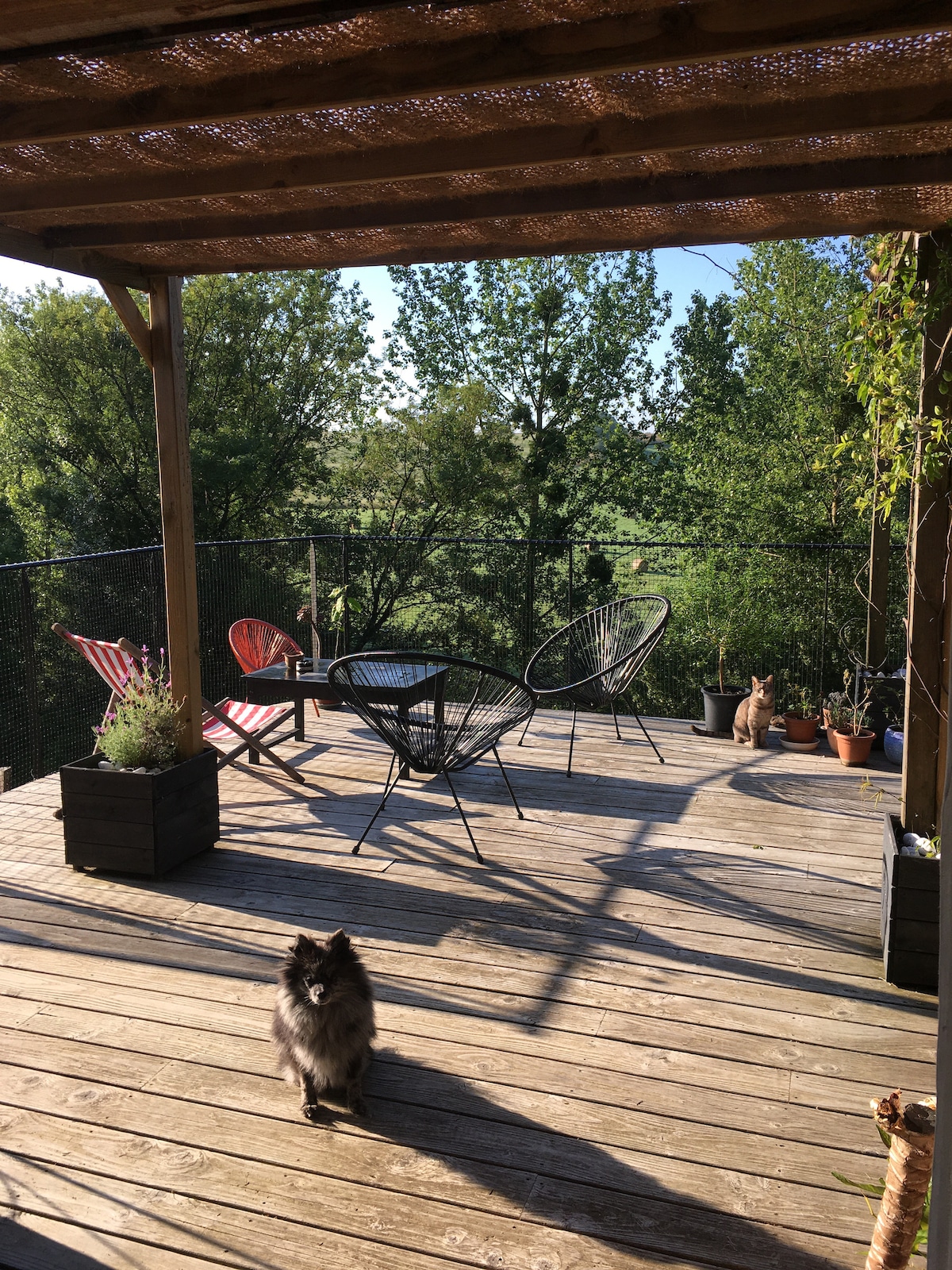 A wooden terrace on stilts is furnished with a round table and several chairs, providing a relaxing outdoor space. Lush greenery and trees surround the area, while a cat and a dog are present, adding a welcoming touch to the setting.