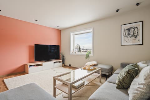Trendy and spacious top apartment