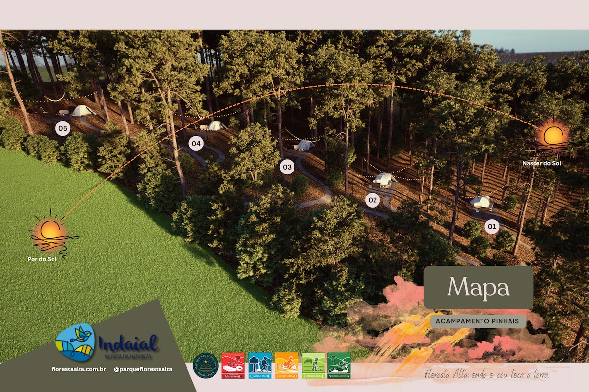 An aerial view of a campground nestled in a pine forest is displayed, showcasing distinct camping areas numbered for easy navigation. Surrounding greenery and natural pathways are evident, contributing to a serene outdoor environment. The serene layout invites exploration and relaxation.