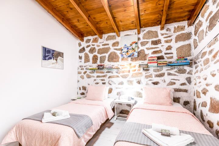 Отворен простор со два единечни кревета 