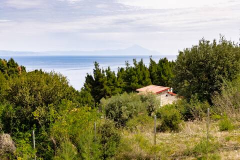 Unique villa with private beach