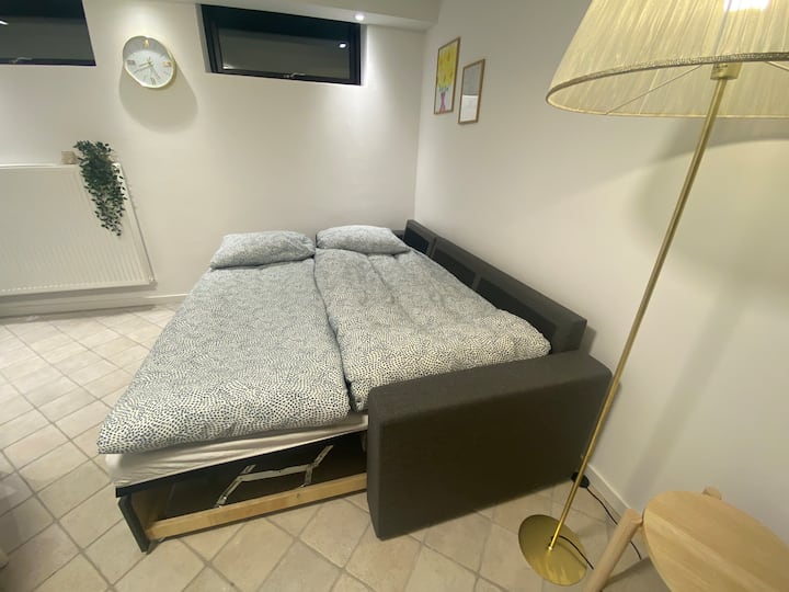 ಎರಡನೇ ಮಲಗುವ ಆಯ್ಕೆ. ಇದು ಸೋಫಾ ಹಾಸಿಗೆಯಾಗಿದ್ದು, ಇದು ಲಿವಿಂಗ್ ರೂಮ್‌ನಲ್ಲಿದೆ, ಅಲ್ಲಿ ಇಬ್ಬರು ಜನರು ಅದರ ಮೇಲೆ ಮಲಗಬಹುದು.