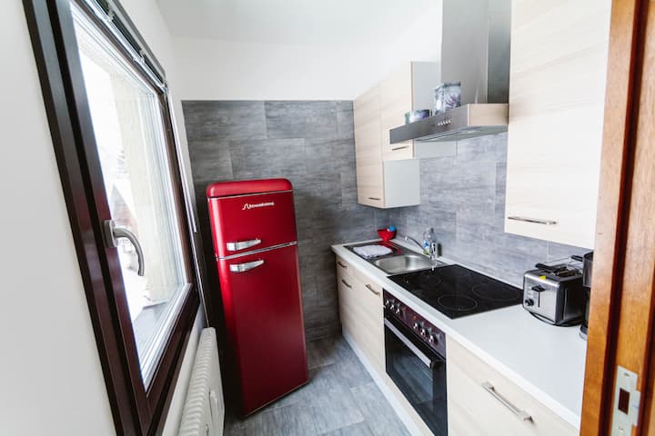 Dachstein Apartment No. 115 - Obertraun