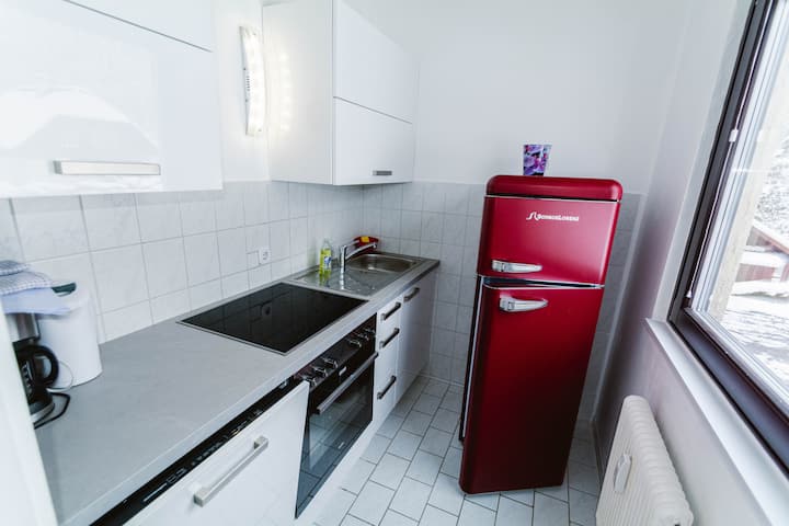 Dachstein Apartment No. 002 - Obertraun