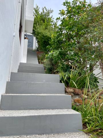 82 Suikerbossie gallery image 5