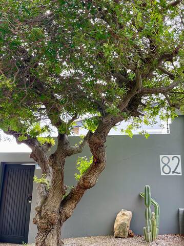 82 Suikerbossie gallery image 3