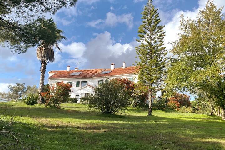 Quinta Vale da Paz -Countryside Villa near Lisbon gallery image 4