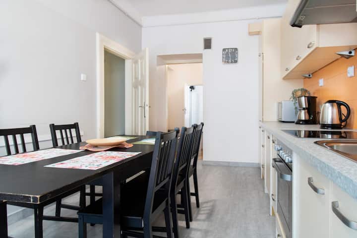 Spacious Apartment, Big Groups Great Location!