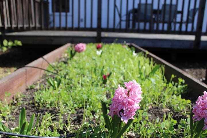 Silicon Valley Home gallery image 3