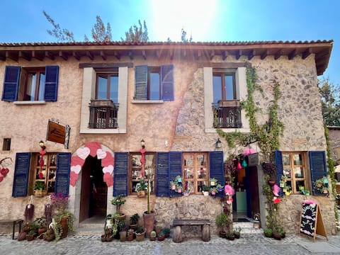 Val'Quirico "Auguri" Zócalo II, Apartment. 5 Beds