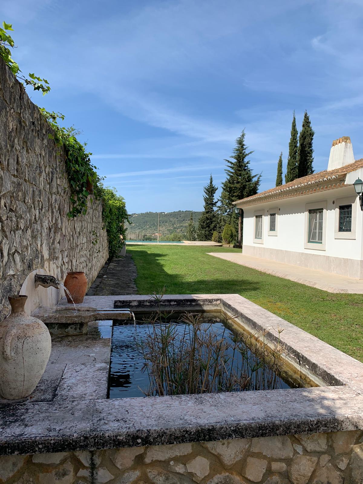 A serene garden area is featured alongside a stone wall, with a small pond containing reeds. Two terracotta pots add natural elements to the landscape. A light-colored building, adorned with green shrubs and trees, is visible in the background beneath a clear blue sky.