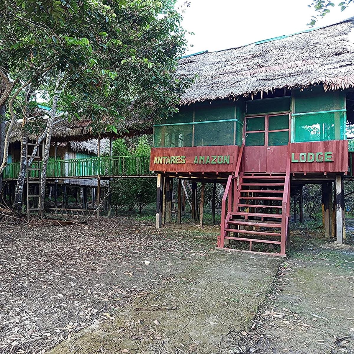 A raised lodge is set amidst lush greenery, featuring a thatched roof and wooden framing. Stairs lead up to the entrance, while large windows allow for ample natural light. Surrounding foliage enhances the serene environment, indicative of a secluded retreat.