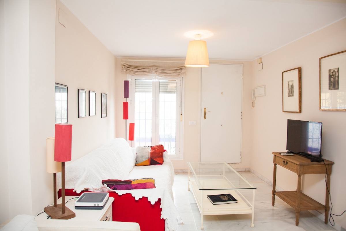 Successful Airbnb property: Penthouse overlooking the river on Betis Street in Triana Casco Antiguo
