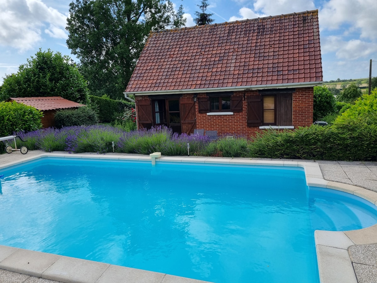A clear and inviting swimming pool is surrounded by a neatly paved area. Lush greenery and flowering lavender plants frame the pool, while a charming chalet with traditional wood shutters is visible in the background. The sky is filled with soft, scattered clouds.