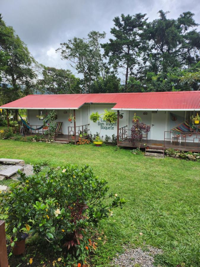 Two charming cabins are set within a lush green landscape, each featuring a welcoming porch adorned with colorful chairs. A vibrant garden surrounds the cabins, with trees providing shade. A bright red roof contrasts with the natural scenery, creating a serene and inviting retreat.