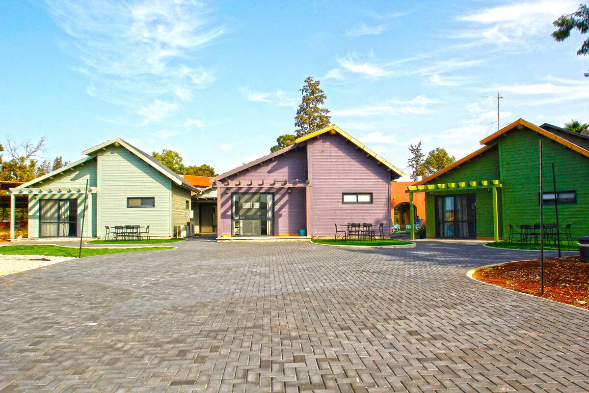 Three colorful cabins are arranged around a paved courtyard. Each cabin features large windows and a welcoming entry. The surrounding area includes greenery and outdoor seating, creating a relaxed environment suitable for families.