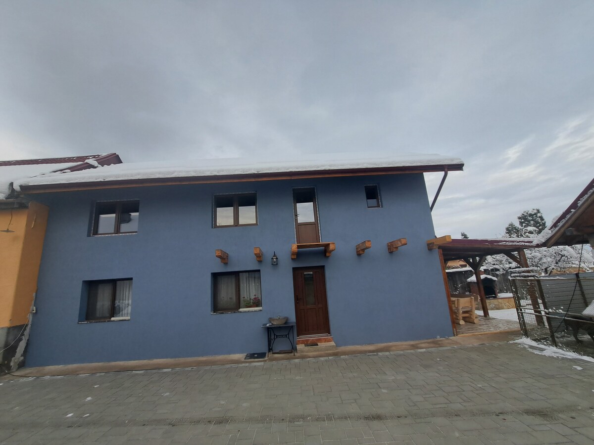 The exterior of a two-story house is shown, featuring a blue facade with wooden accents. Several windows are positioned symmetrically on the front, and a wooden door is centrally located. The surrounding area includes a paved driveway and hints of greenery visible beyond.