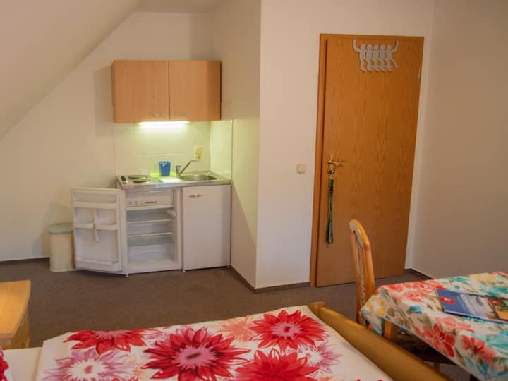 Studio-apartment Teichmann - Bad Schandau