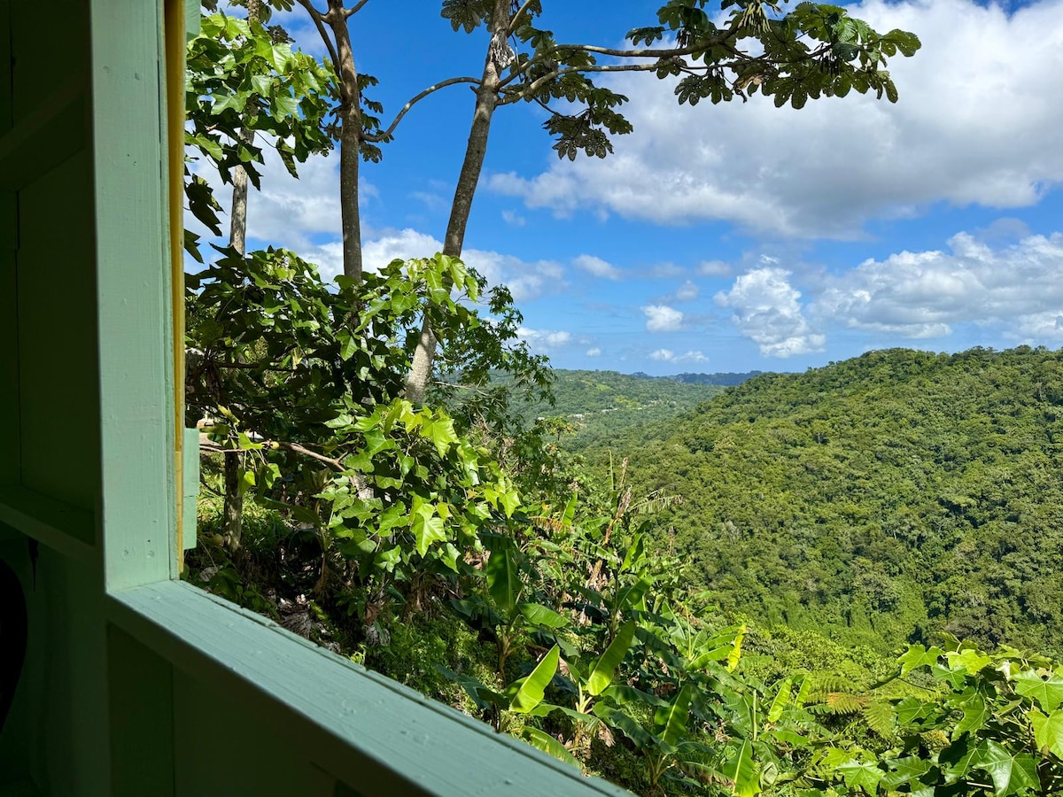 The view from a cabin window reveals rolling green hills under a bright blue sky with scattered clouds. Lush foliage frames the opening, showcasing the vibrant natural landscape and inviting guests to appreciate the surrounding beauty.